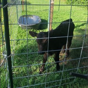 Meet your Posher, Michaelene